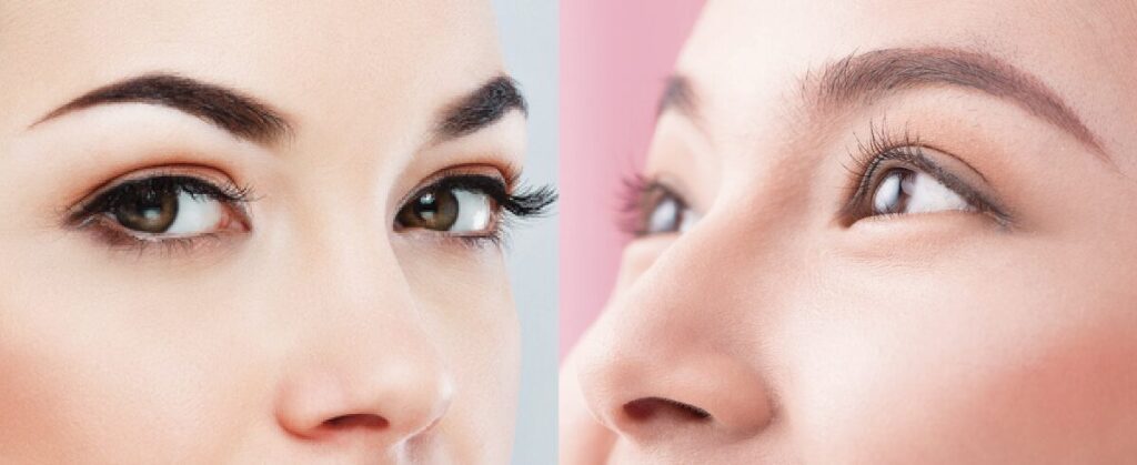 日本人と欧州の眉の色を比較したイメージ図